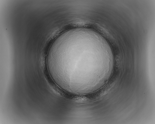 X0000110320642200905281633