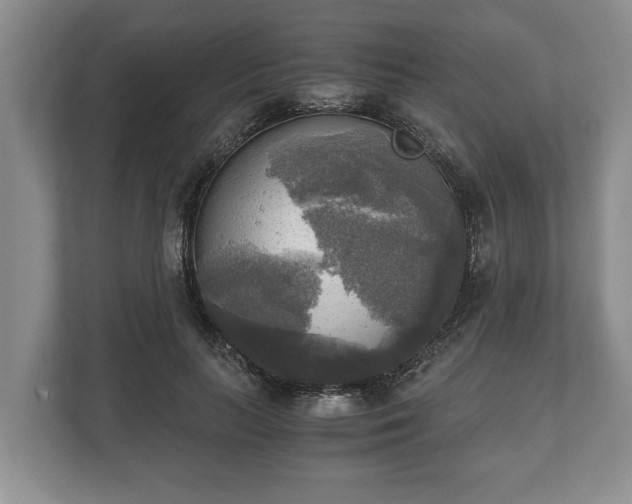 X0000110320647200905281633