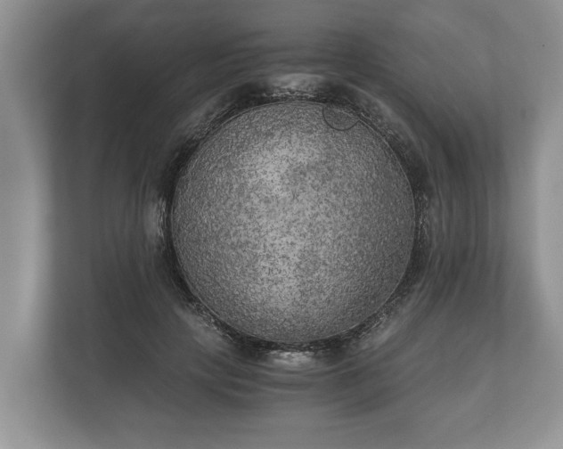 X0000110320649200905281633