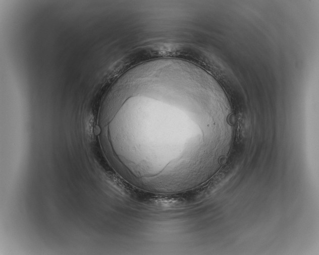 X0000110320650200905281633