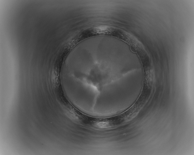 X0000110320653200905281633