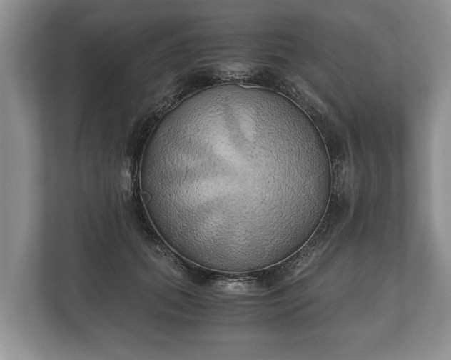 X0000110320655200905281633