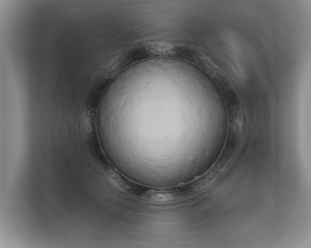 X0000110320658200905281633