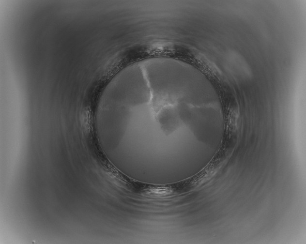 X0000110320659200905281633