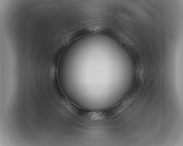 X0000110320660200905281633