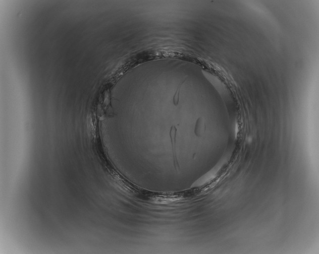 X0000110320661200905281633