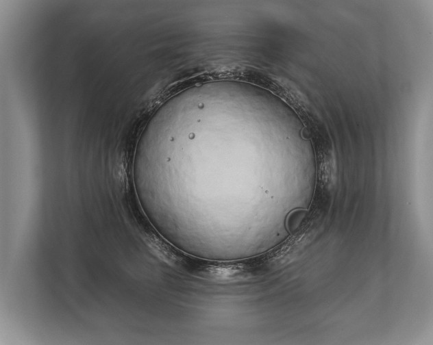 X0000110320662200905281634