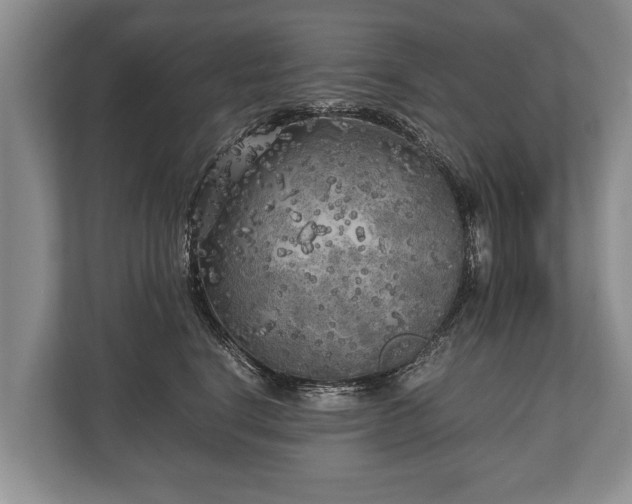 X0000110320664200905281634
