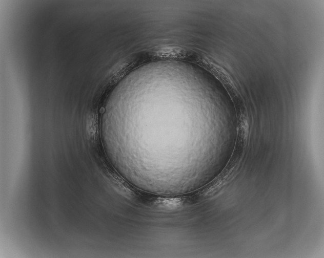 X0000110320665200905281634