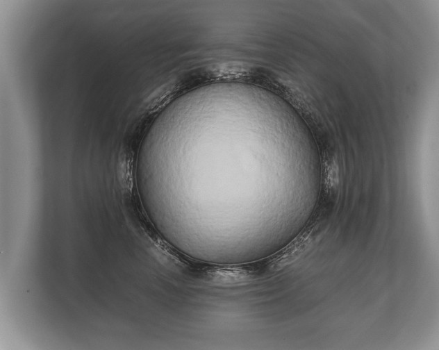 X0000110320666200905281634