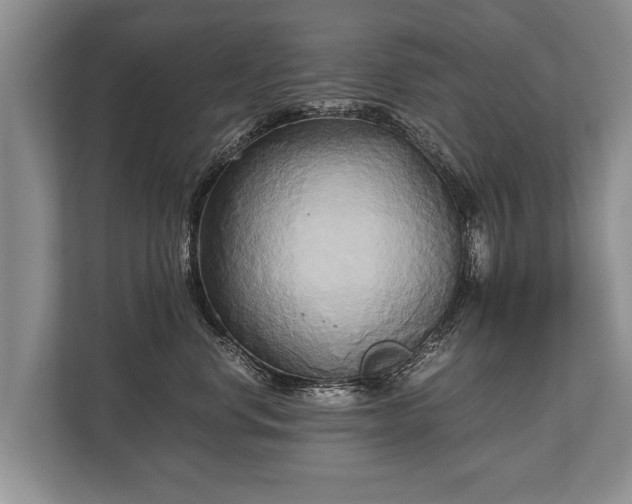 X0000110320668200905281634