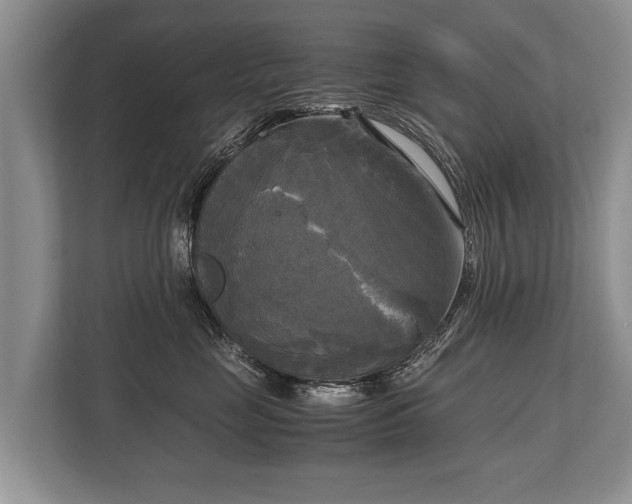 X0000110320669200905281634