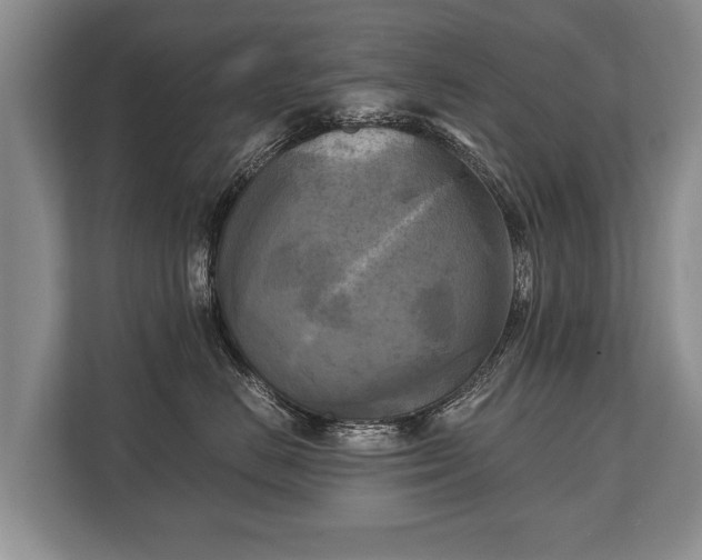 X0000110320670200905281634