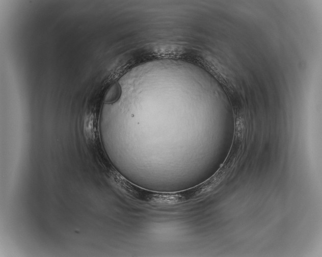 X0000110320671200905281634