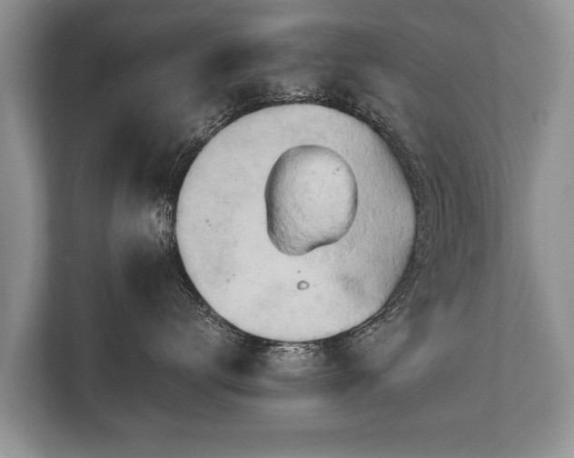 X0000110320672200905281634