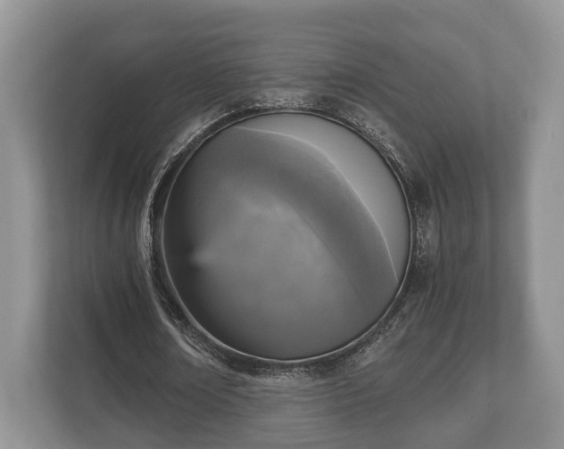 X0000110320674200905281633