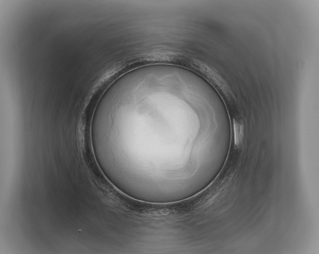 X0000110320675200905281633