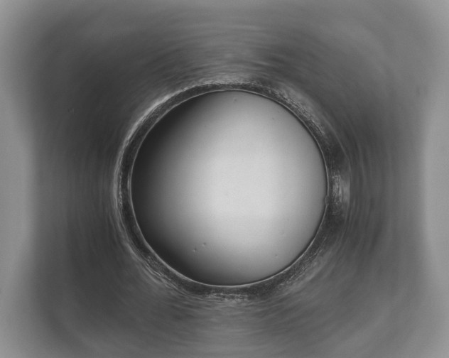 X0000110320676200905281633