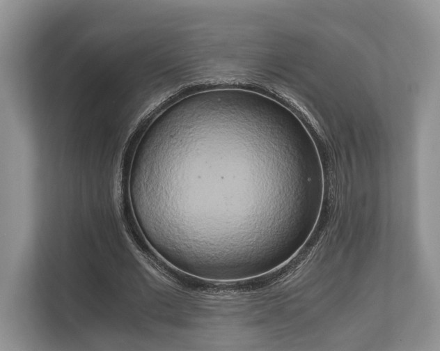 X0000110320677200905281633