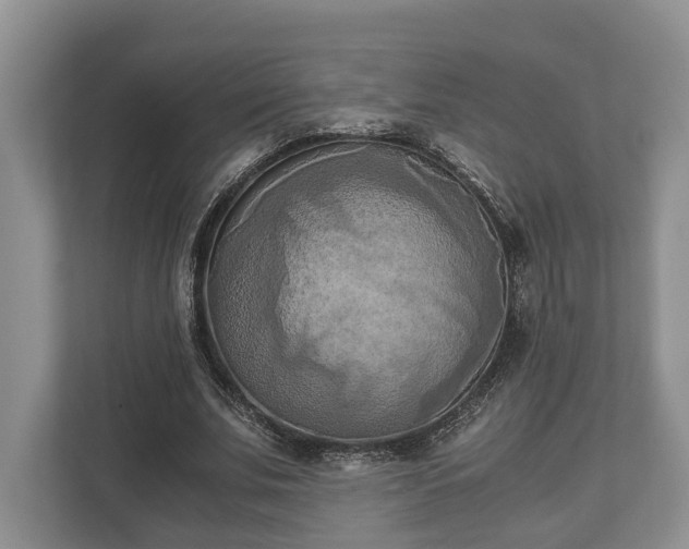 X0000110320679200905281633