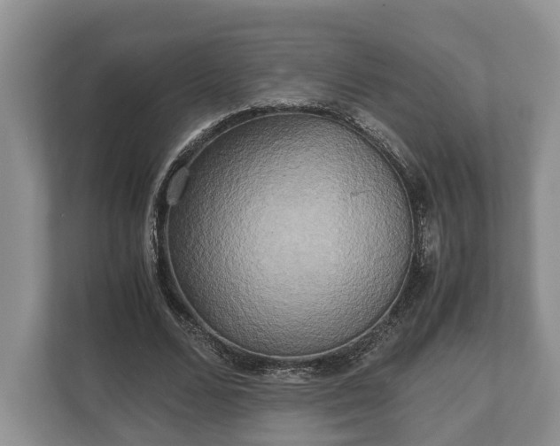 X0000110320680200905281633