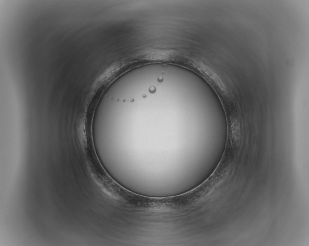 X0000110320682200905281633