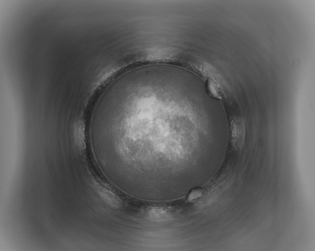 X0000110320684200905281633