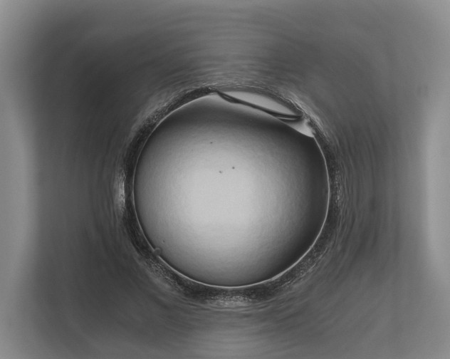 X0000110320685200905281633