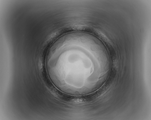 X0000110320687200905281633