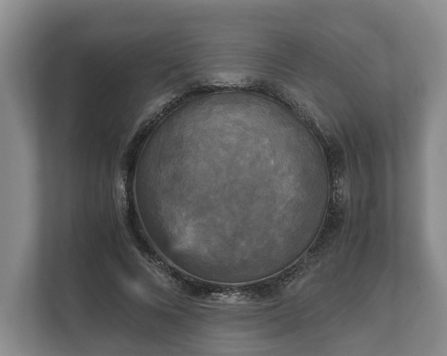 X0000110320688200905281633