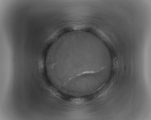 X0000110320691200905281633