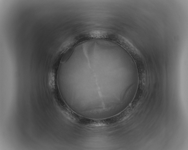 X0000110320696200905281633