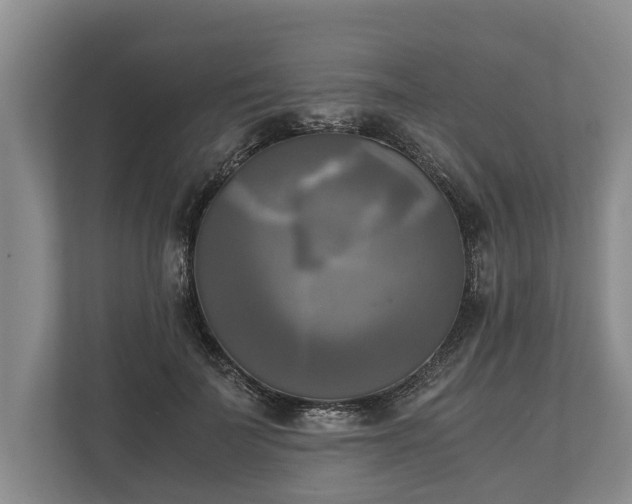 X0000110320699200905281633