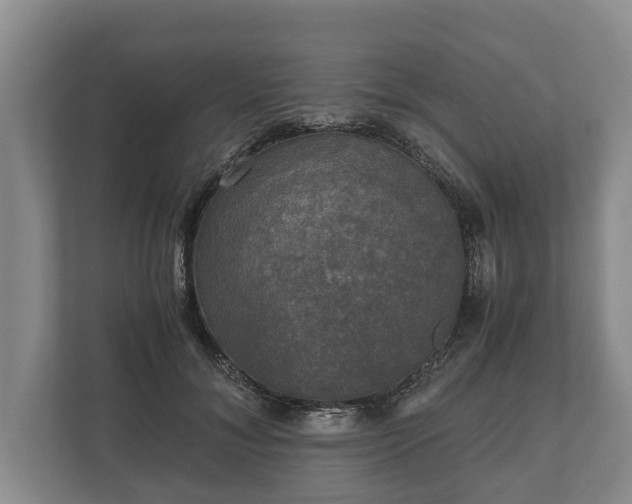 X0000110320700200905281633