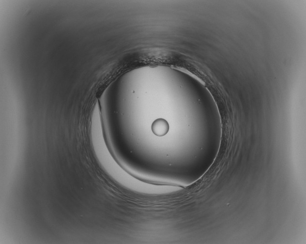 X0000110320701200905281633