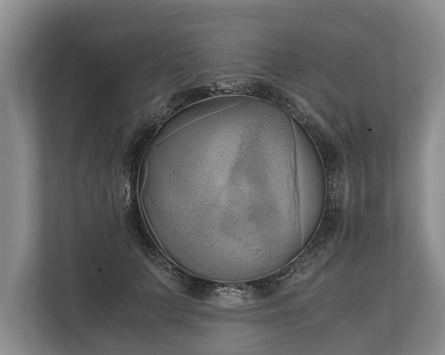 X0000110320703200905281633