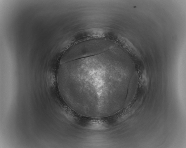 X0000110320704200905281633