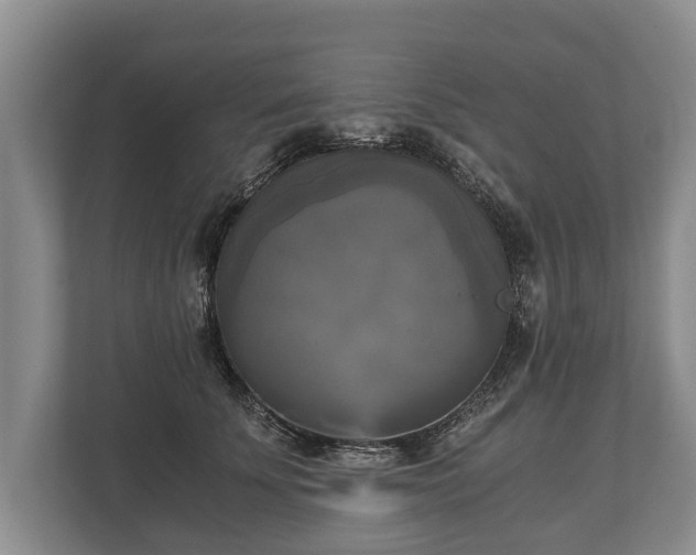 X0000110320707200905281633