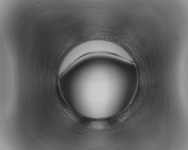 X0000110320708200905281633