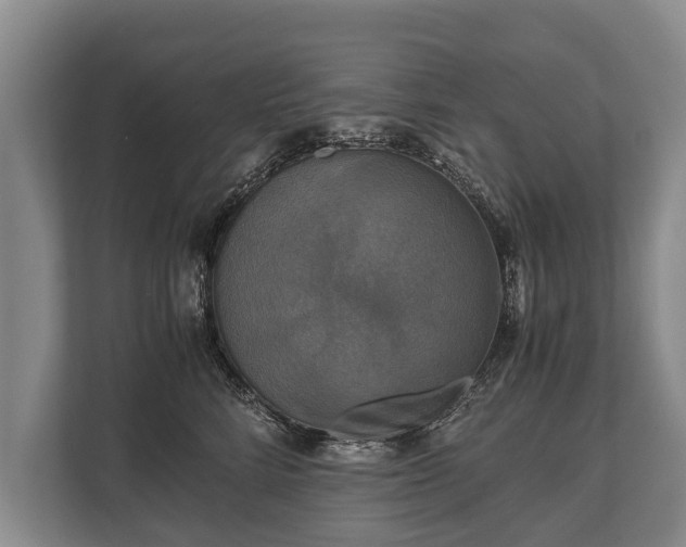 X0000110320712200905281632