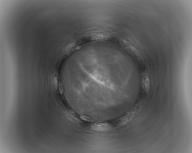 X0000110320716200905281632