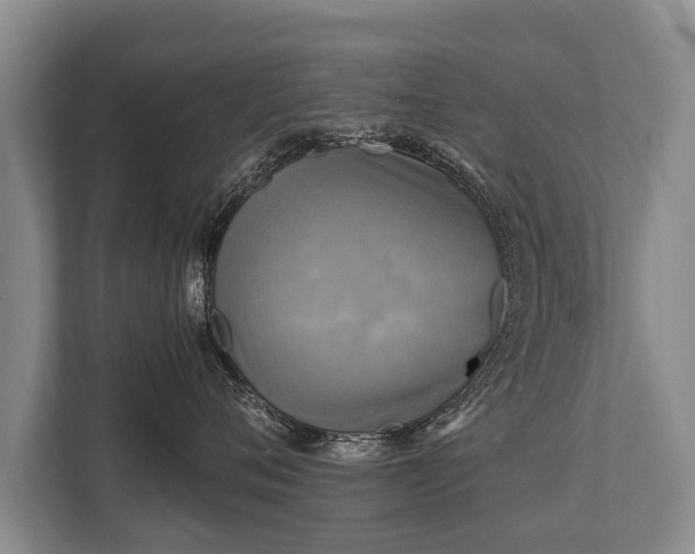 X0000110320720200905281632