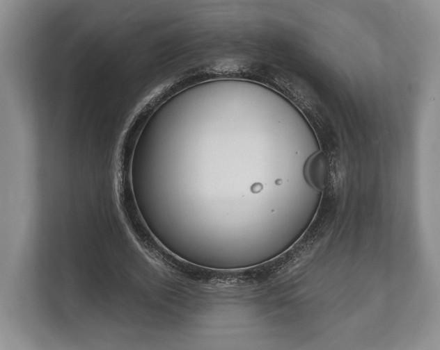 X0000110320728200905281632