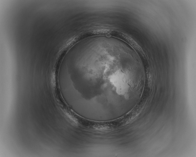 X0000110320729200905281632