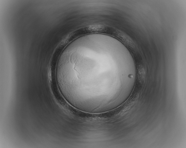 X0000110320734200905281632