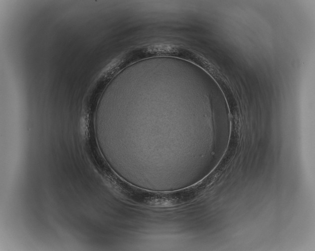 X0000110320735200905281632