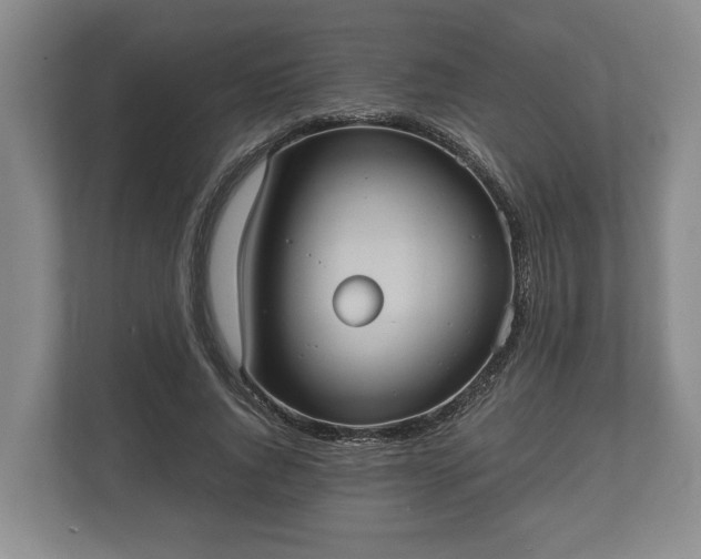 X0000110320736200905281632