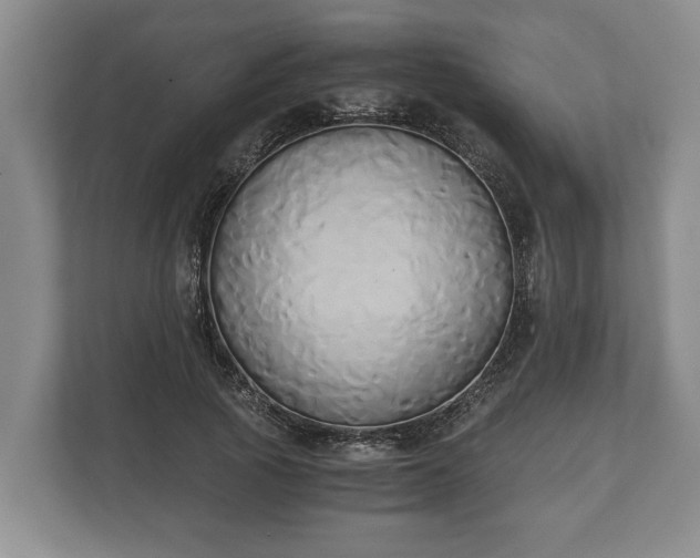 X0000110320737200905281632