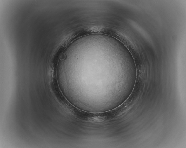 X0000110320739200905281632