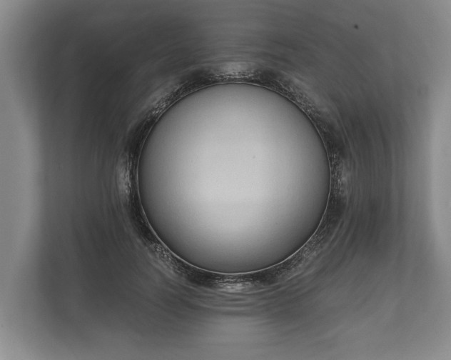 X0000110320746200905281632